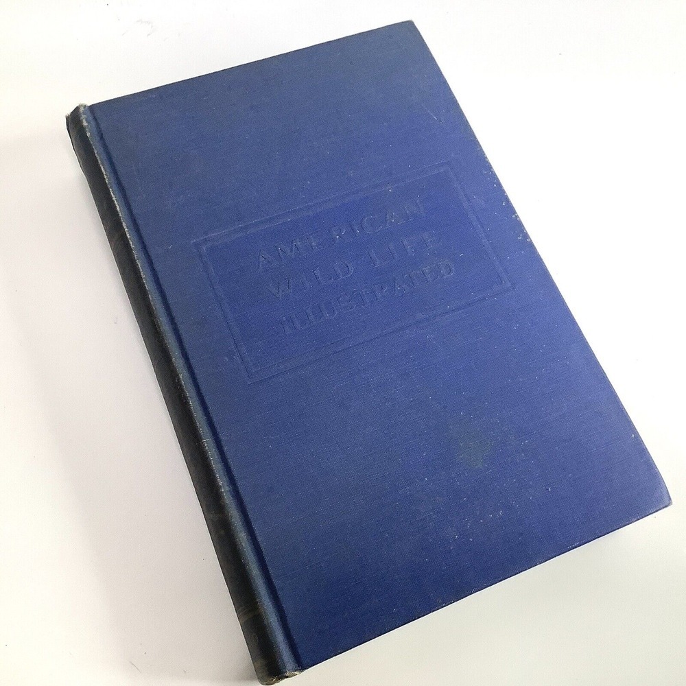 Book American Wild Life Illustrated 1945 Wise & Co USA Vintage